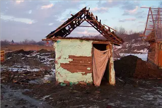 small_reeses 026.webp